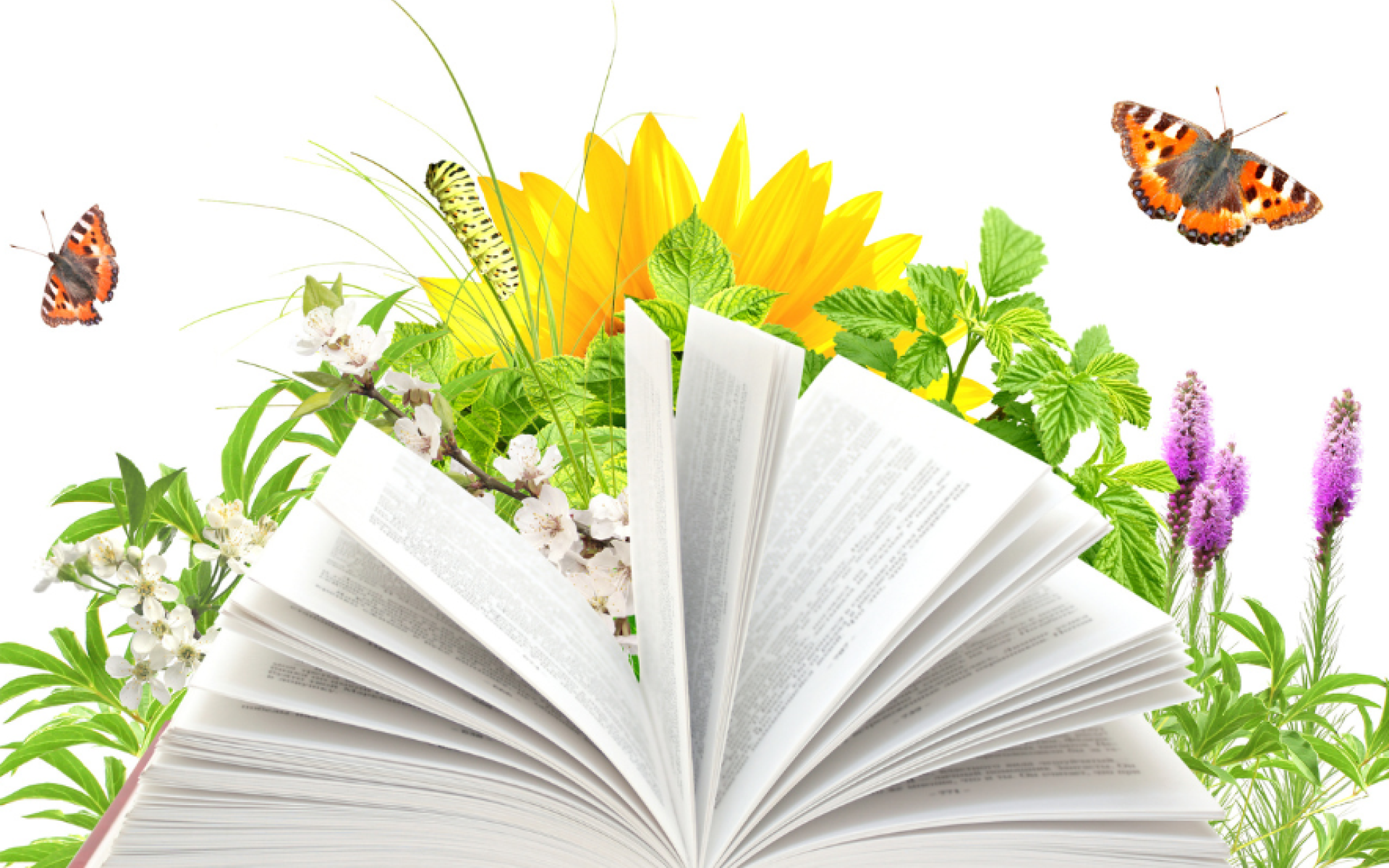 Buch im Frühling