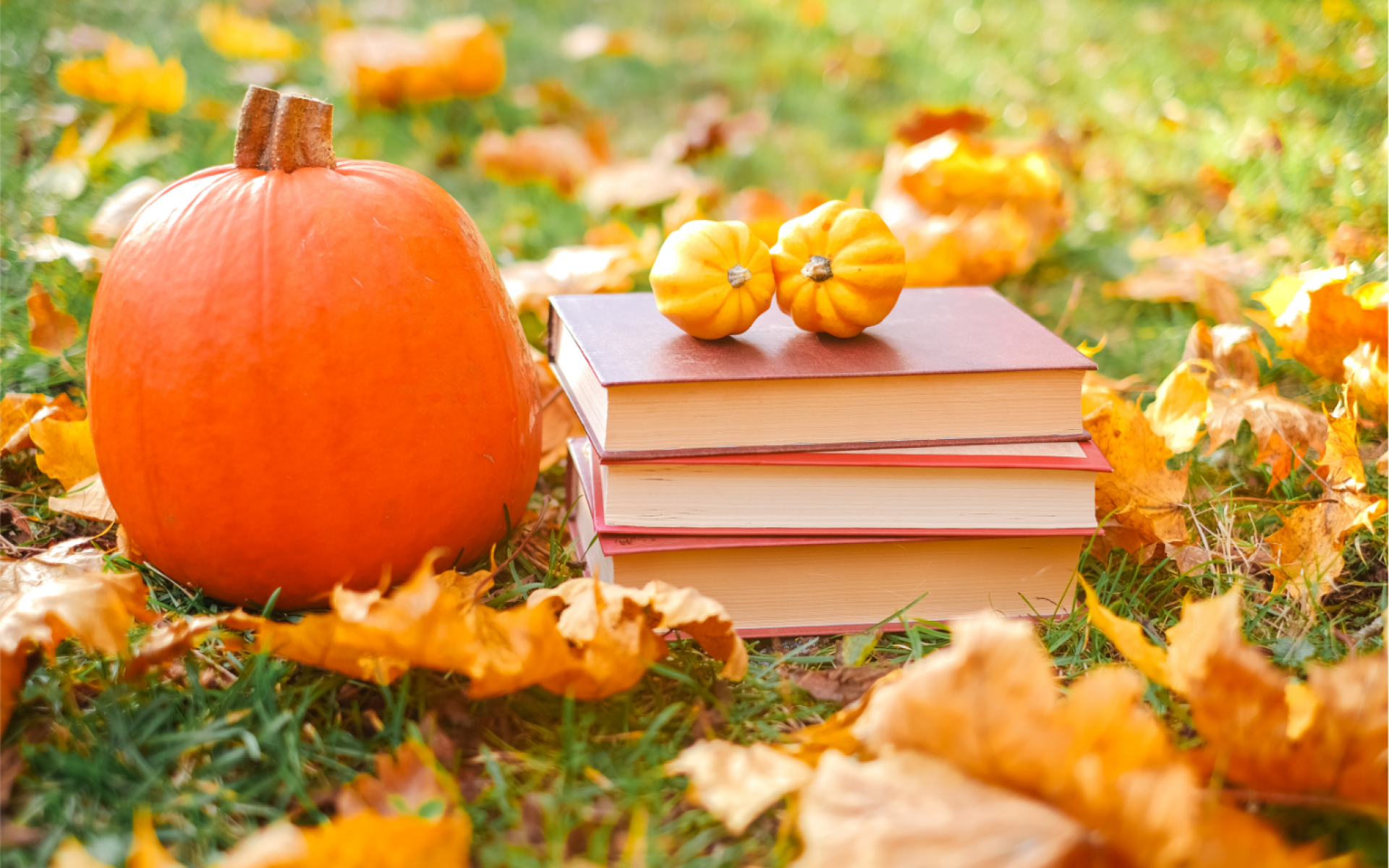 Herbst-Vorlesung
